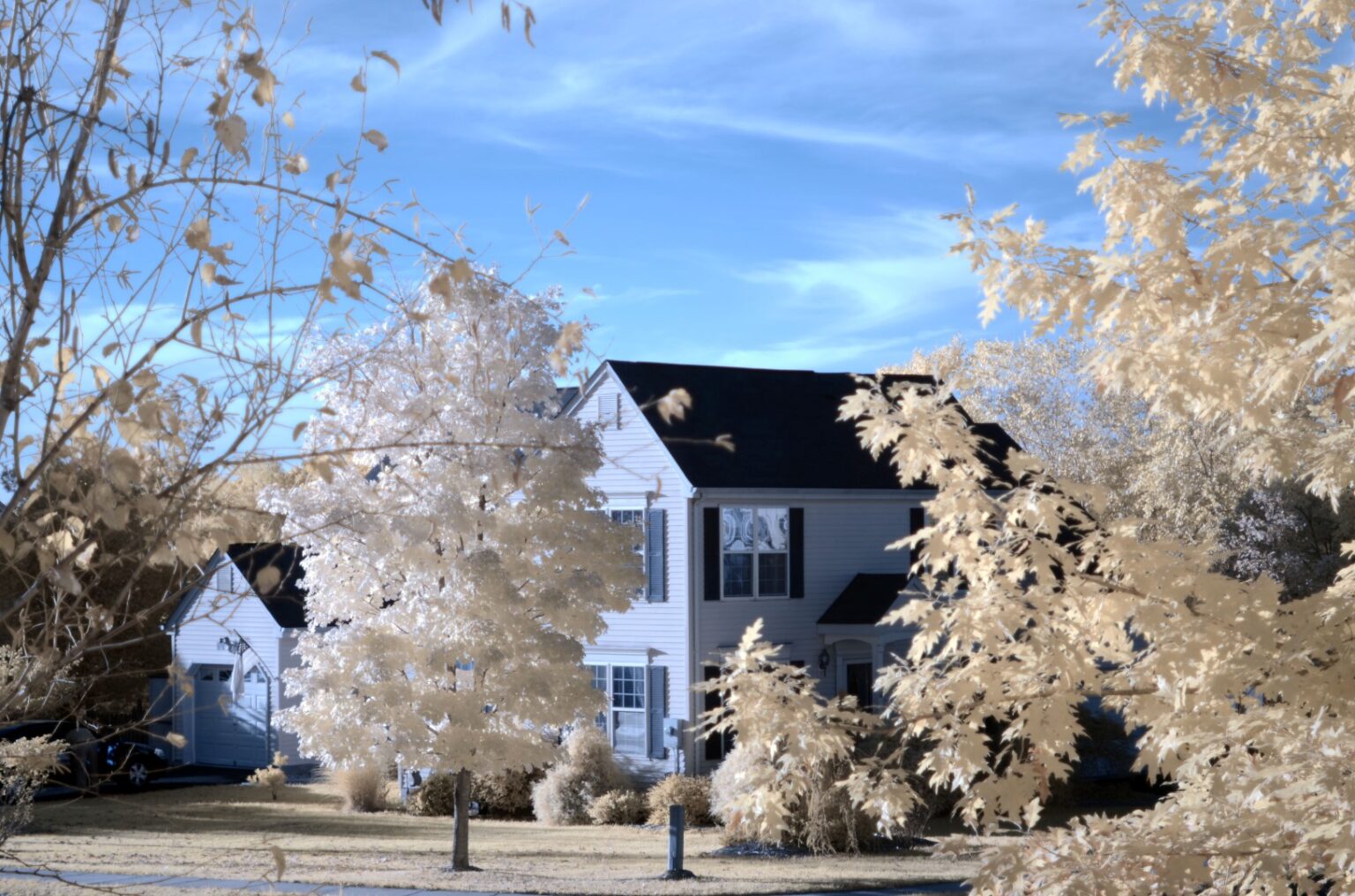 Nikon infrared conversion