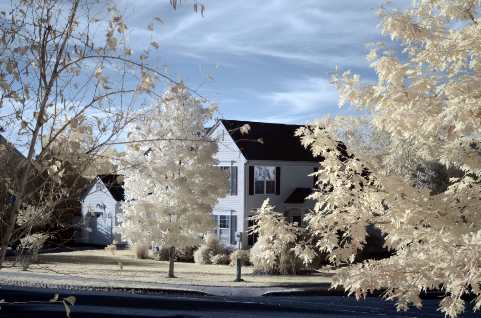 Nikon infrared conversion