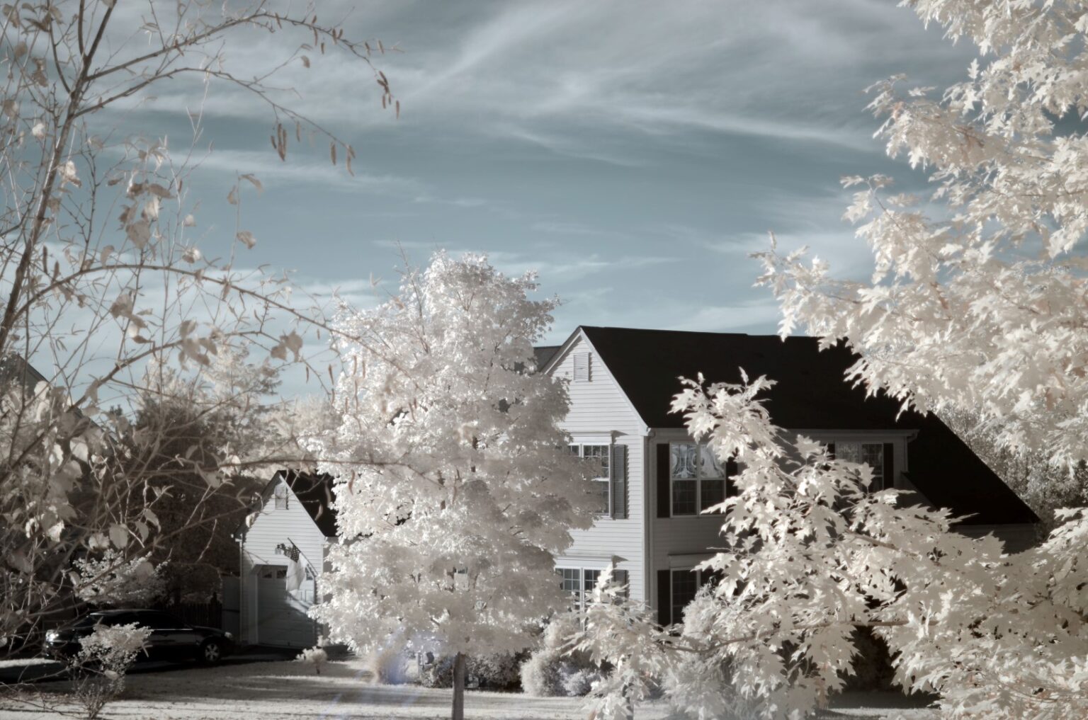 Nikon infrared conversion
