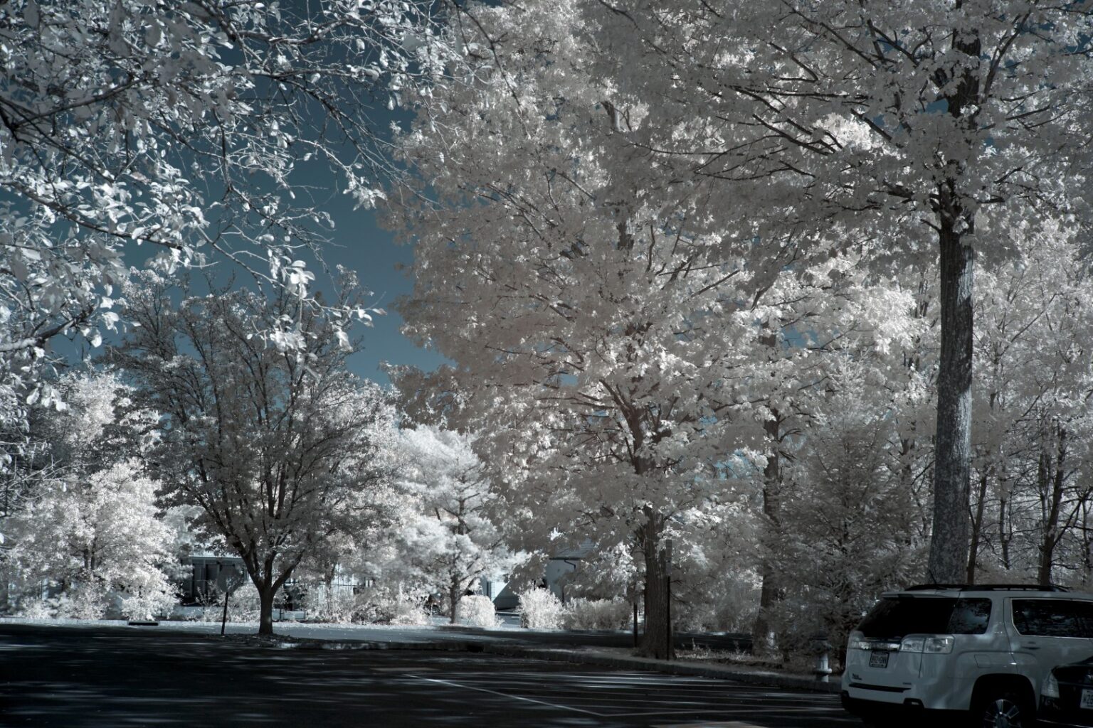 Sony infrared conversion