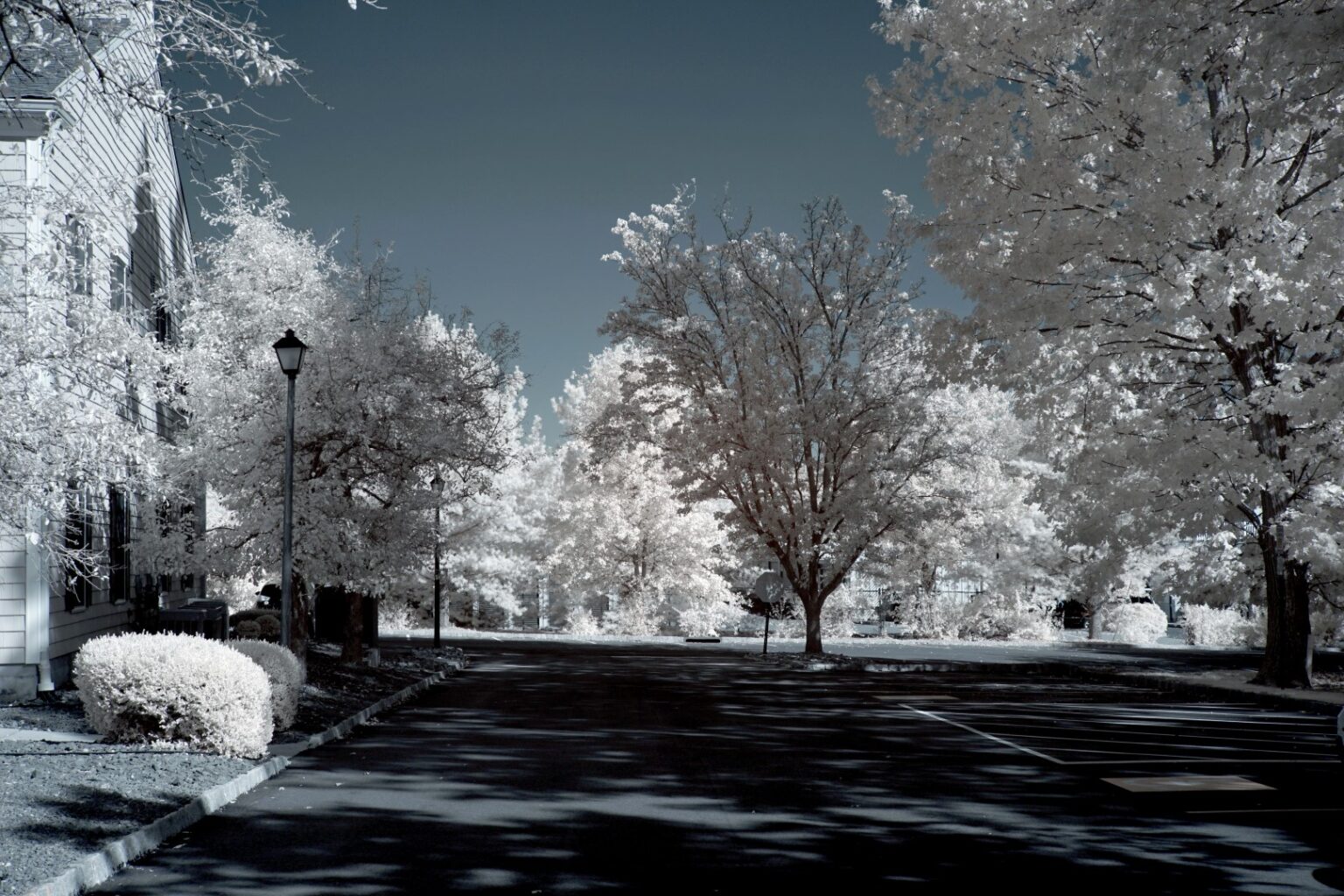 Sony infrared conversion