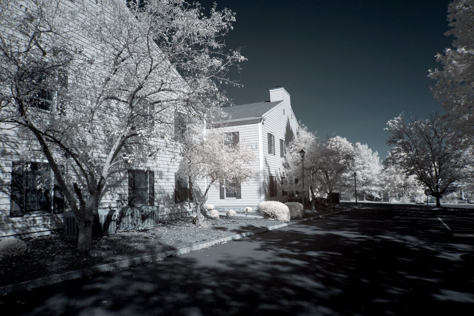 Sony infrared conversion