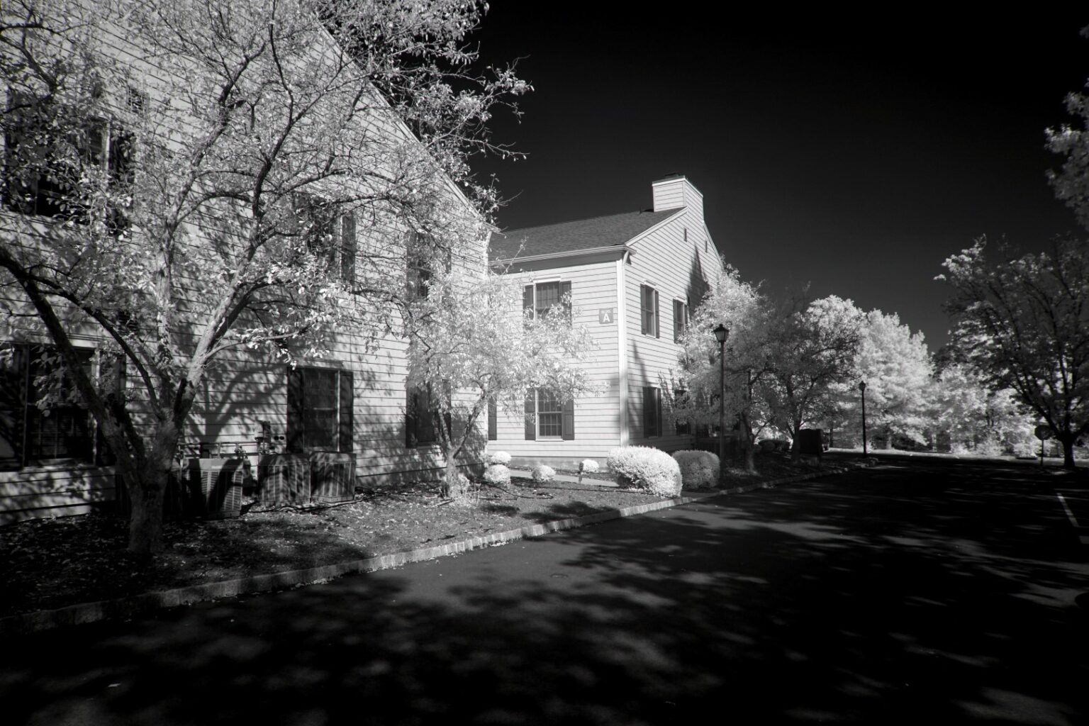 Sony infrared conversion