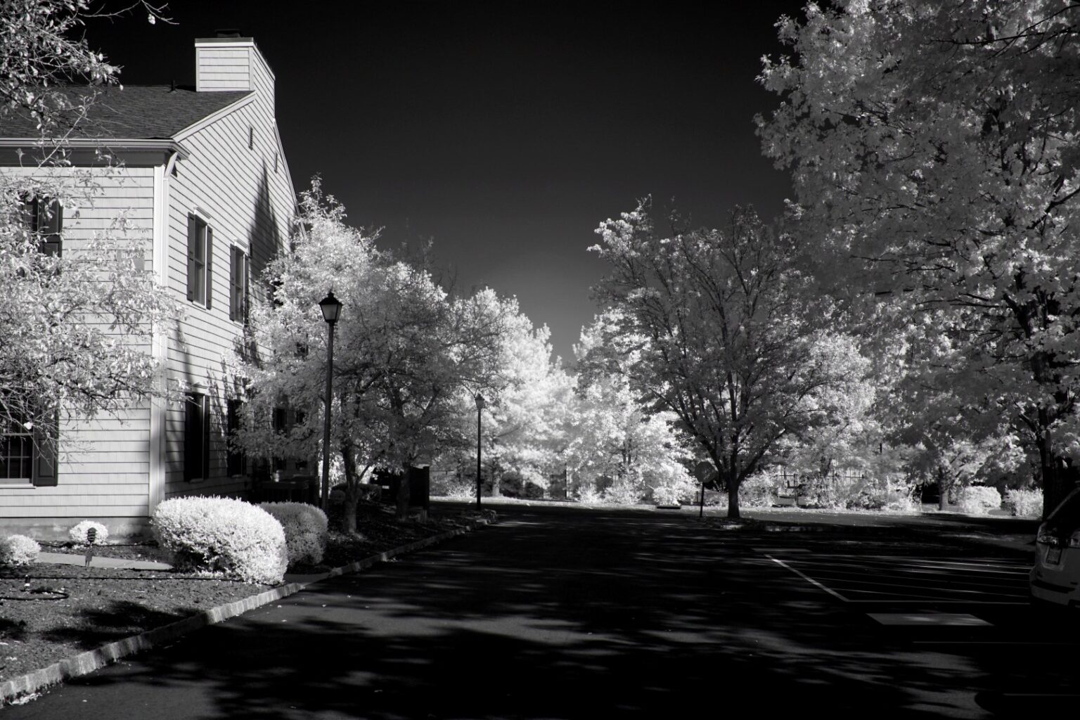 Sony infrared conversion