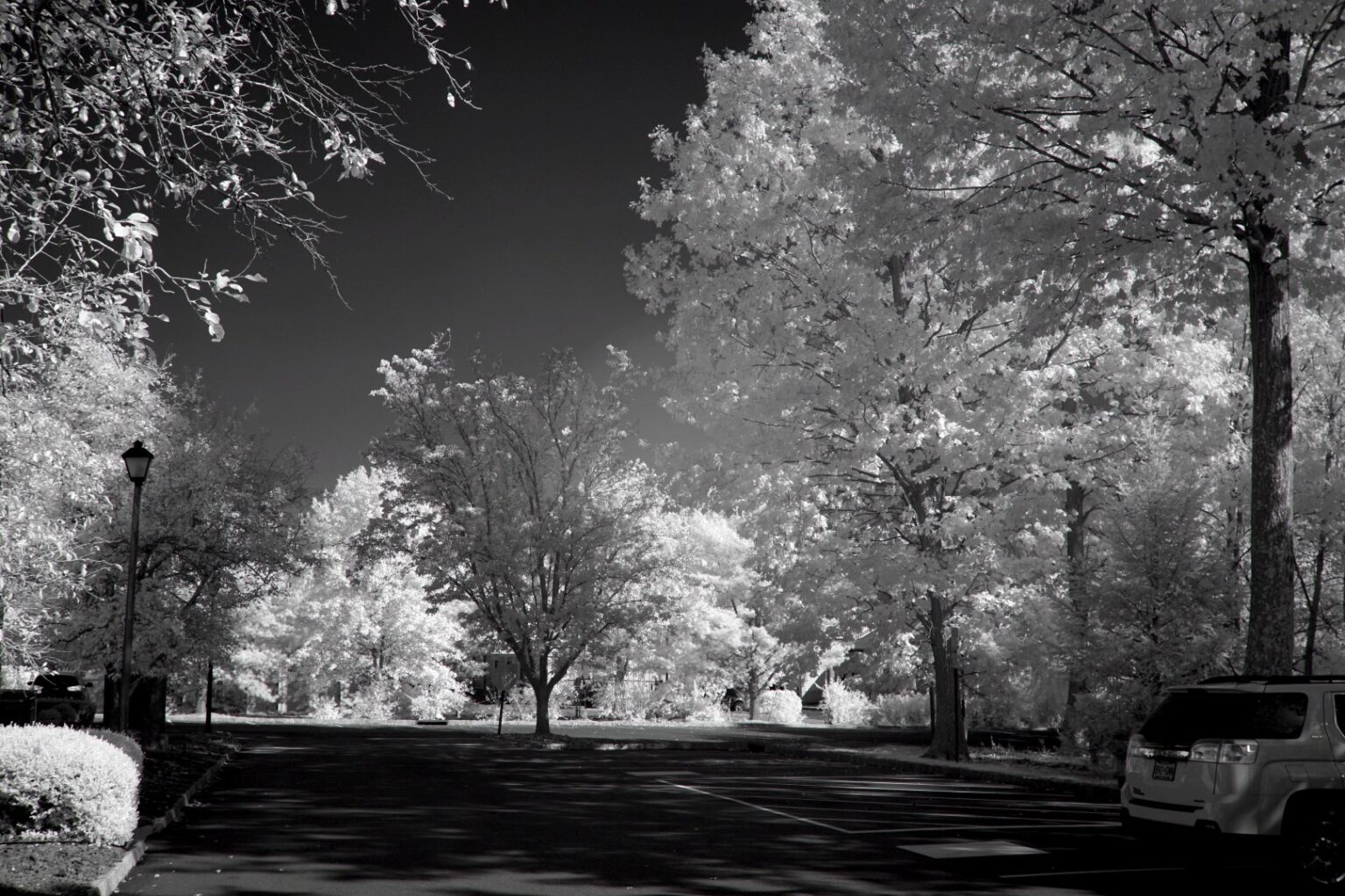 Sony infrared conversion