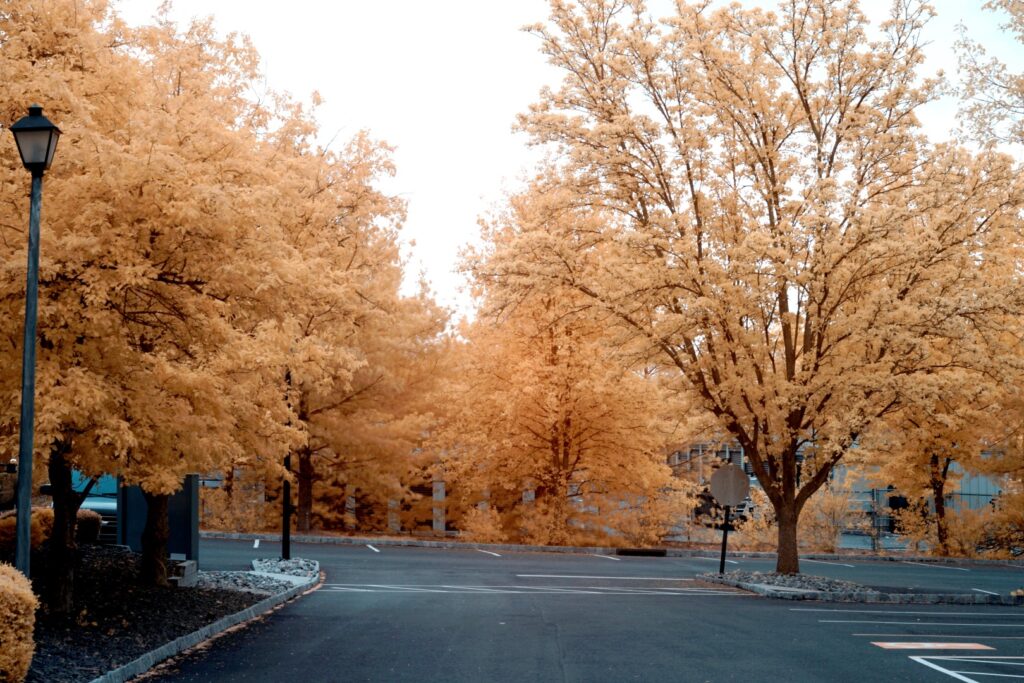 Sony infrared conversion