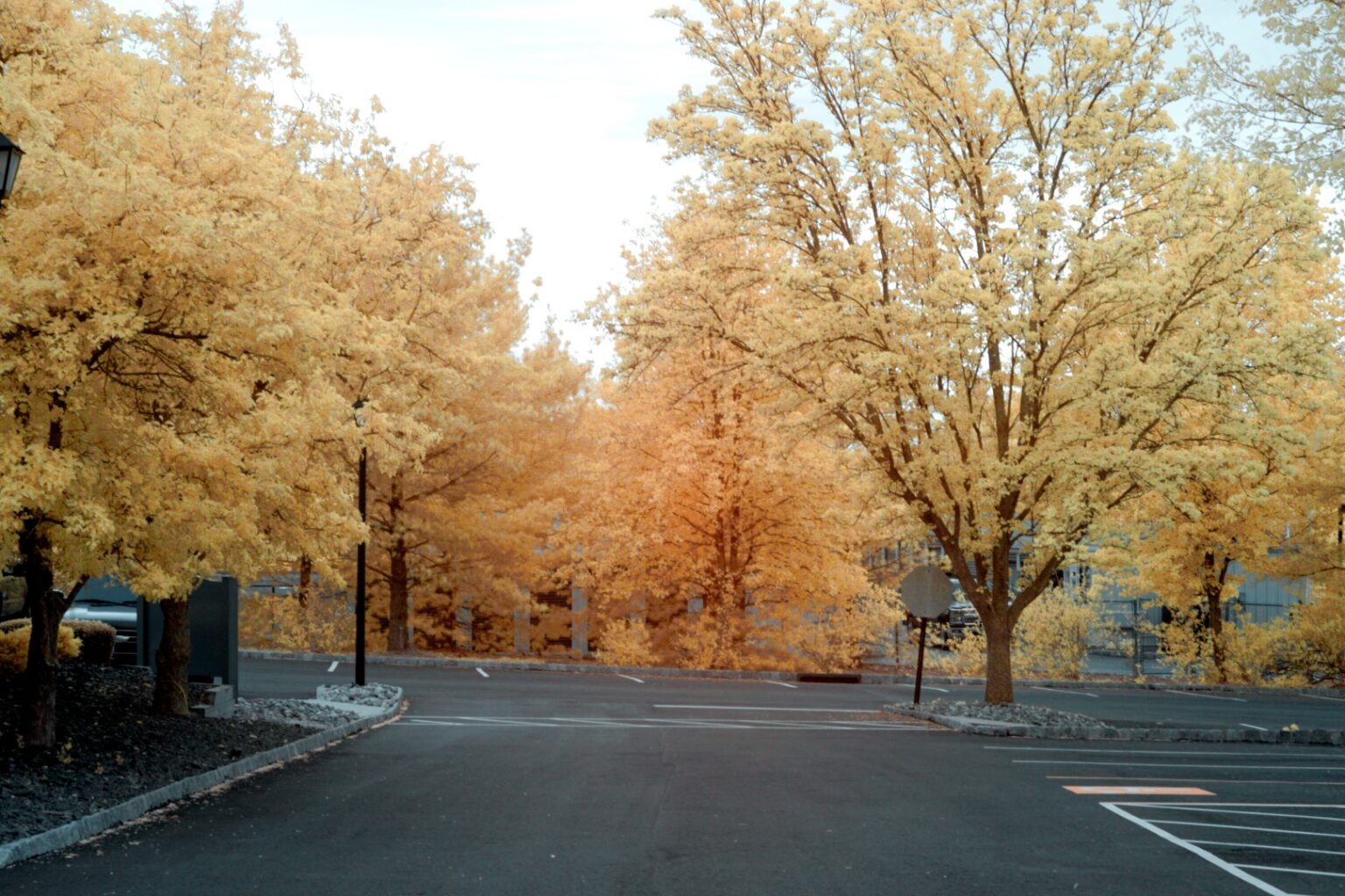 Sony infrared conversion
