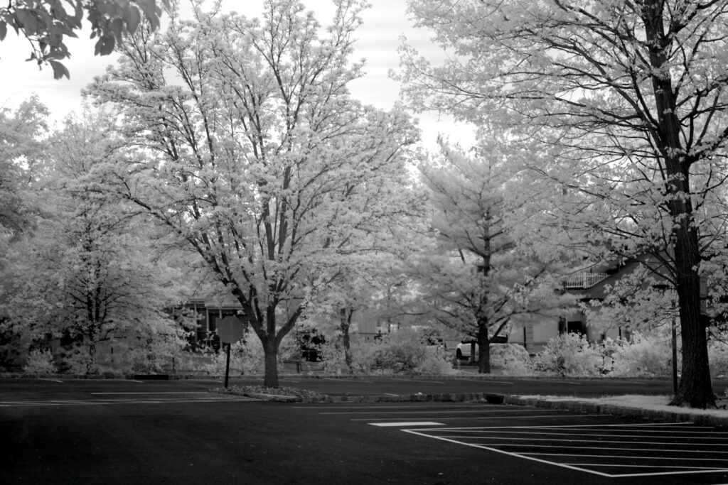 Sony infrared conversion