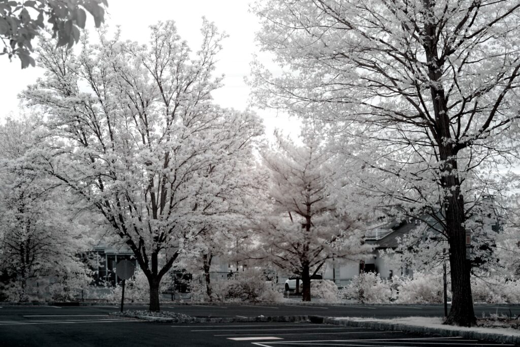 Sony infrared conversion