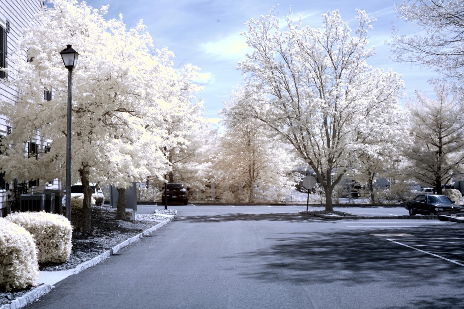 Sony infrared conversion