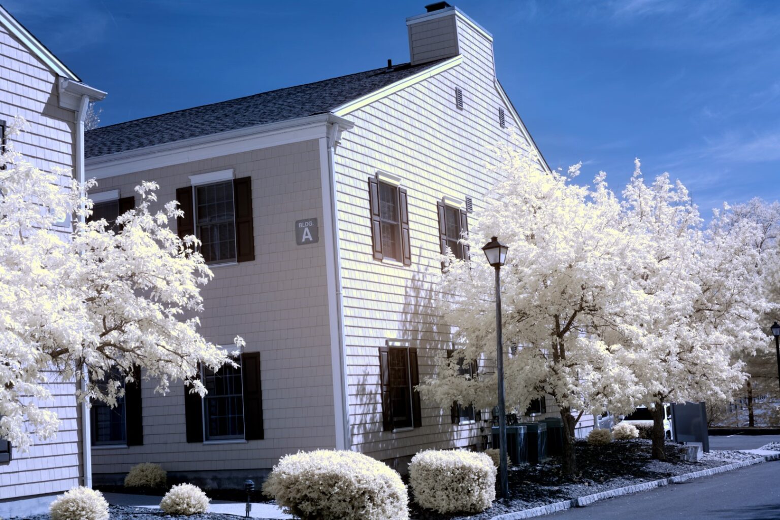 Sony infrared conversion