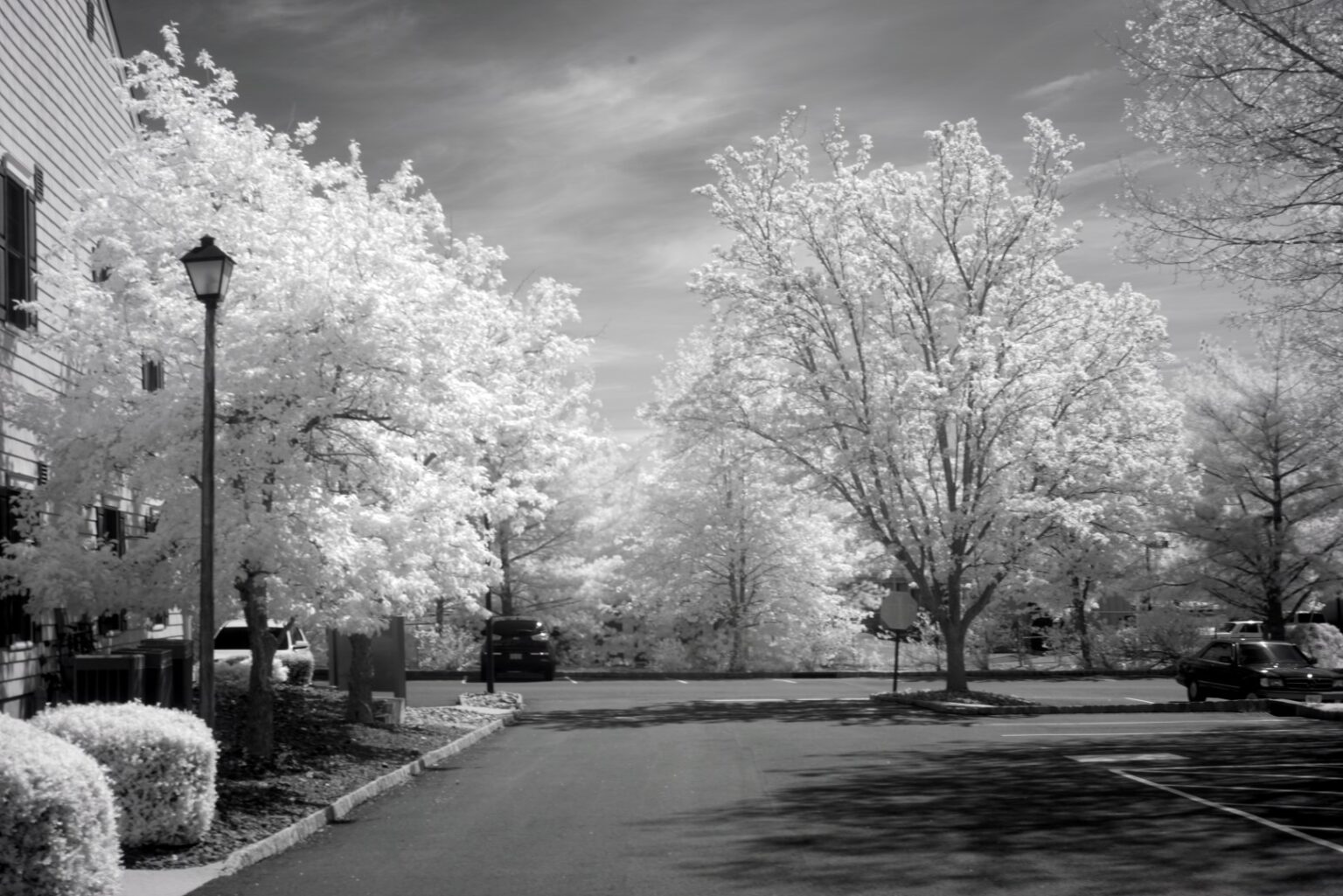 Sony infrared conversion