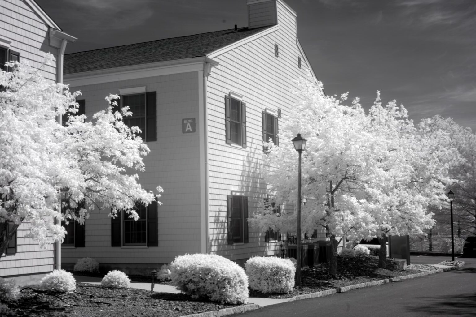 Sony infrared conversion