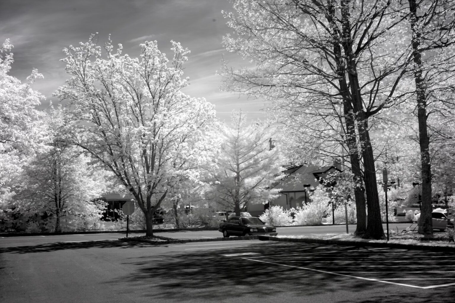 Sony infrared conversion