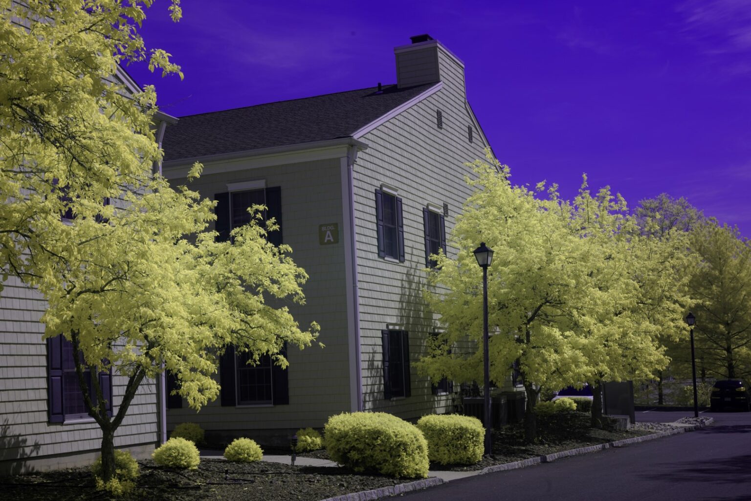 Sony infrared conversion