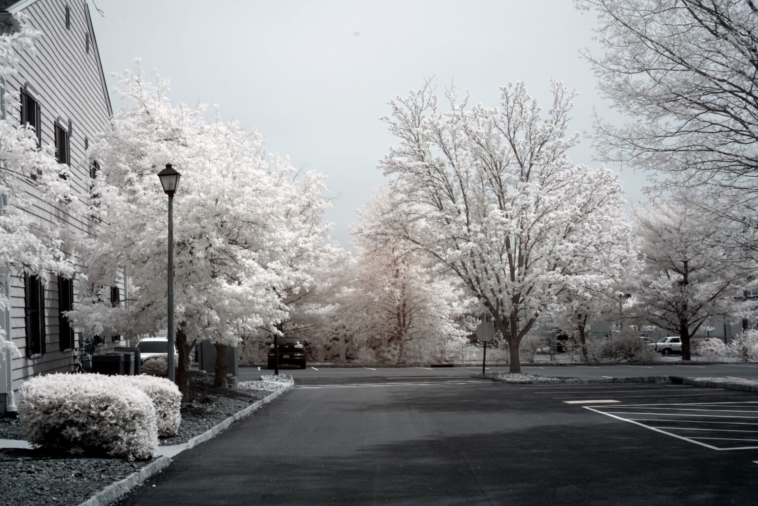 Sony infrared conversion