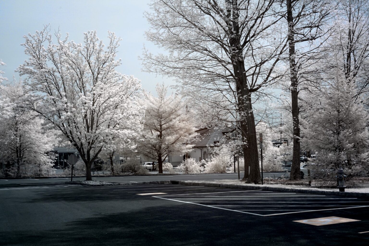 Sony infrared conversion