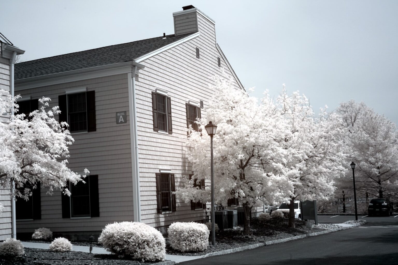 Sony infrared conversion