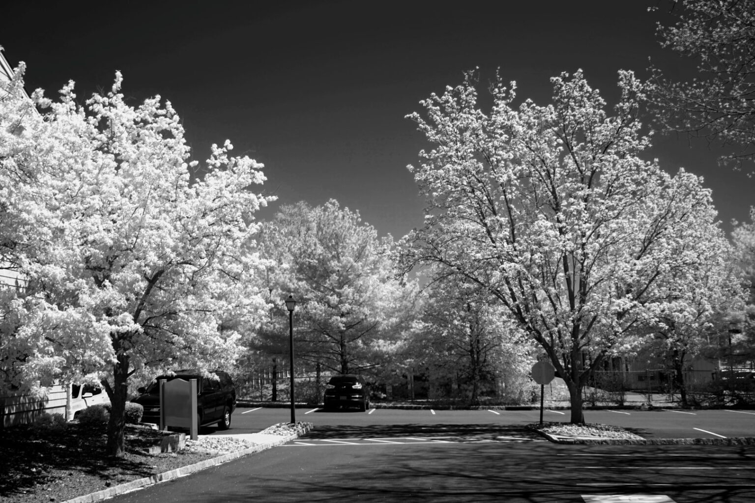 Sony infrared conversion