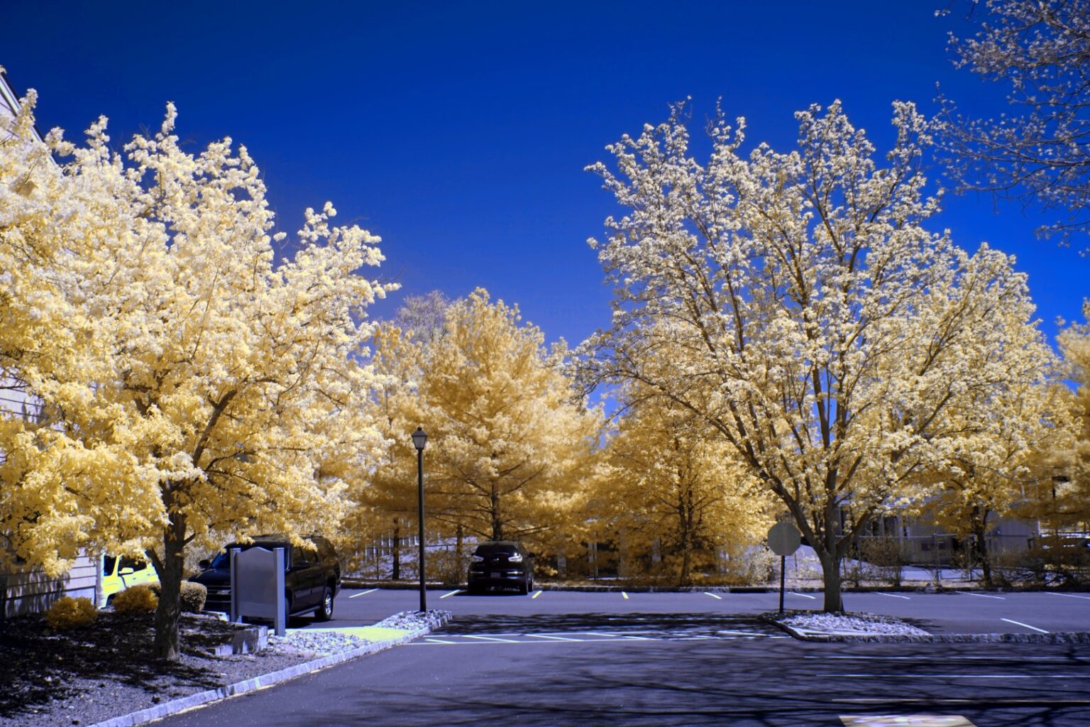 Sony infrared conversion