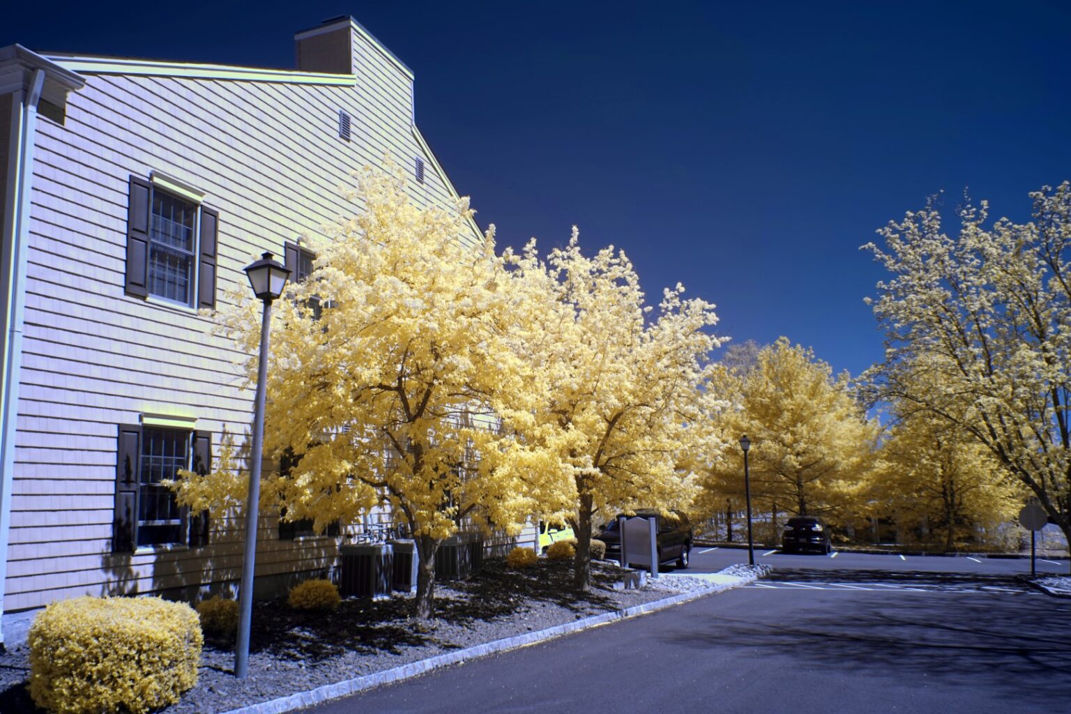 Sony infrared conversion