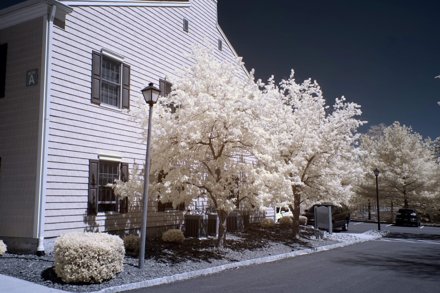 Sony infrared conversion