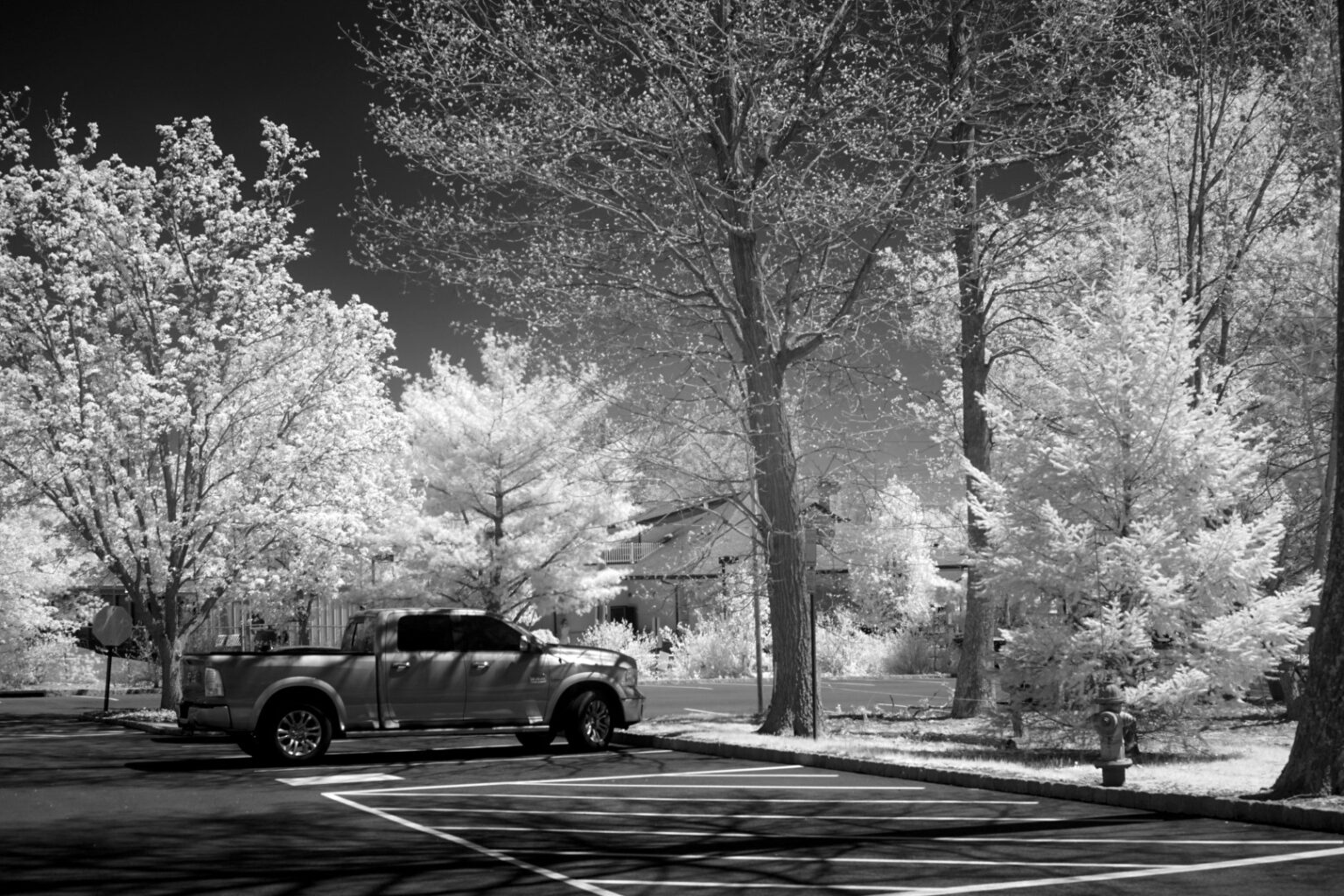 Sony infrared conversion