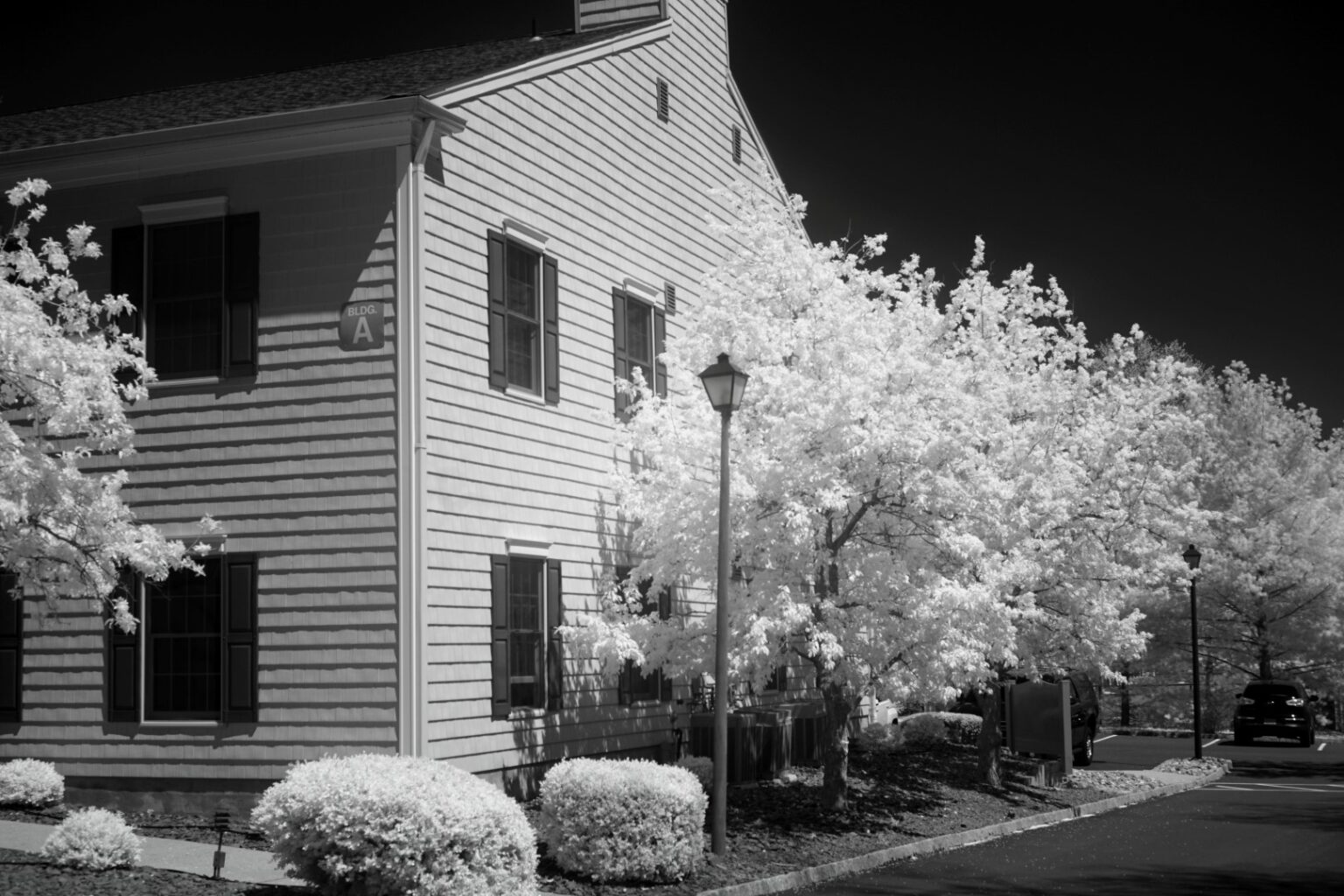 Sony infrared conversion