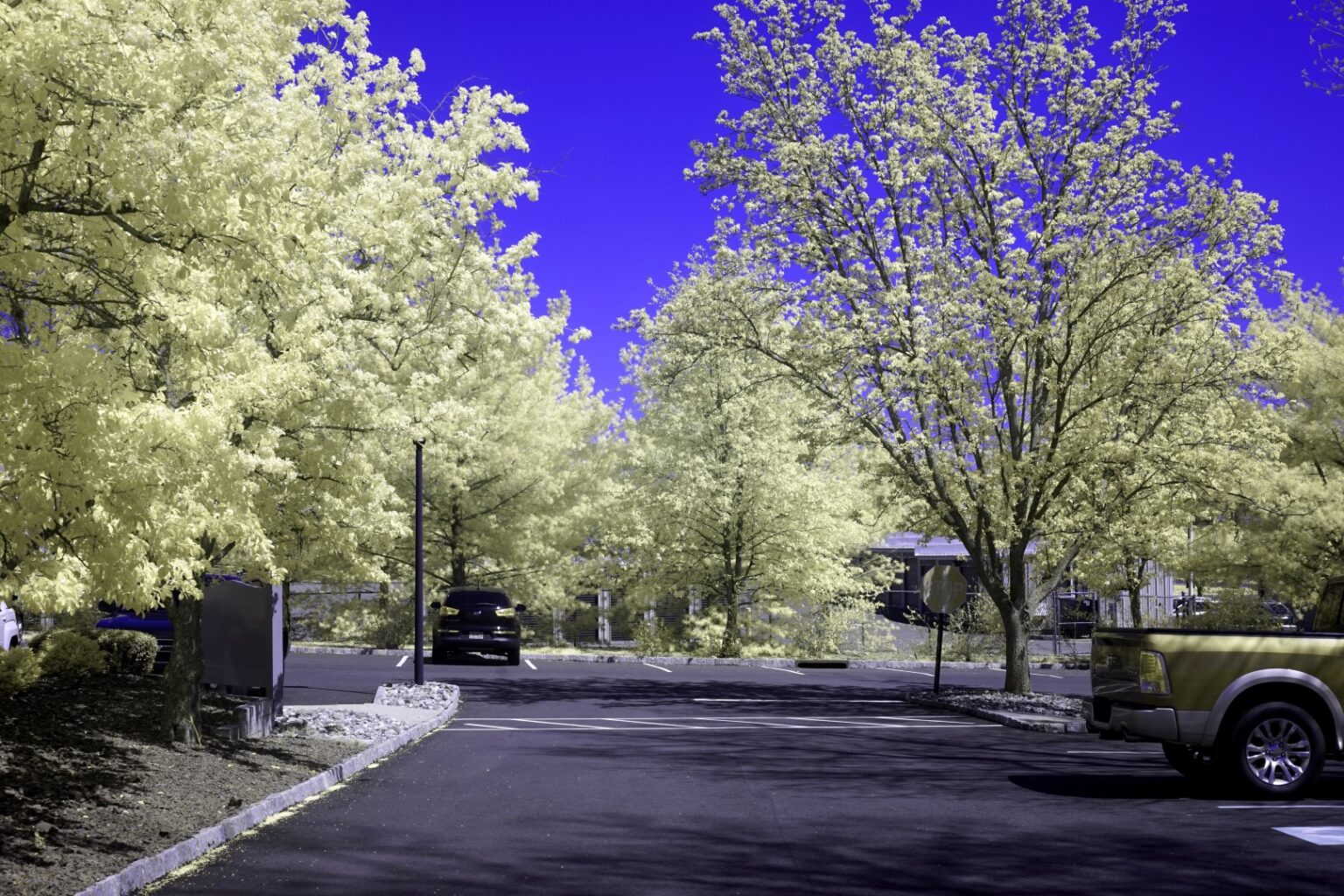Sony infrared conversion
