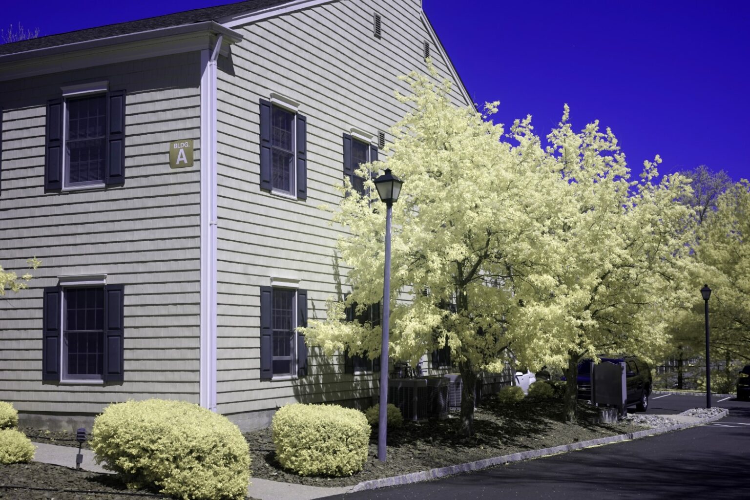 Sony infrared conversion