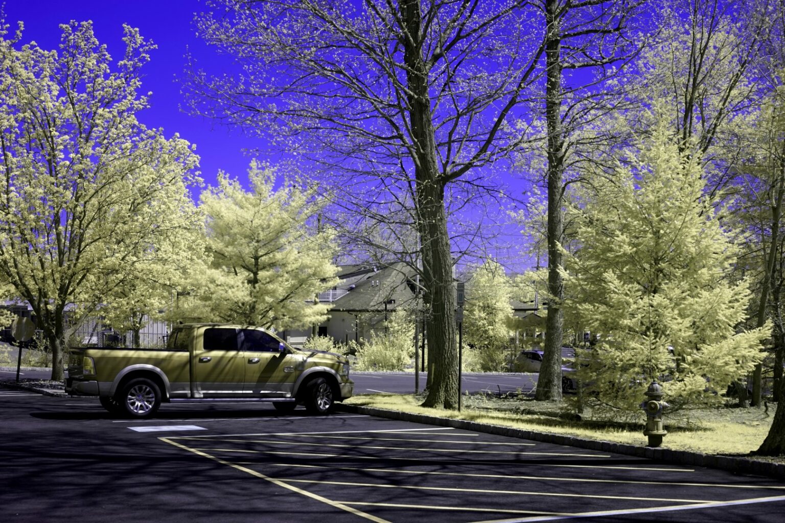 Sony infrared conversion