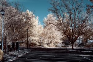 Sony infrared conversion