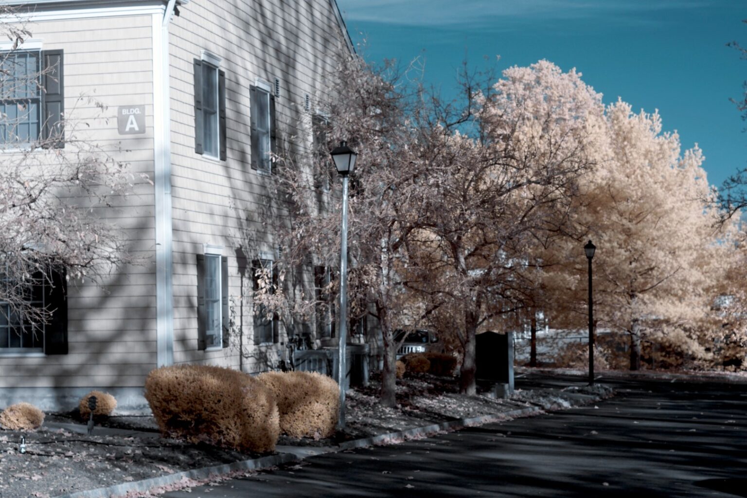 Sony infrared conversion