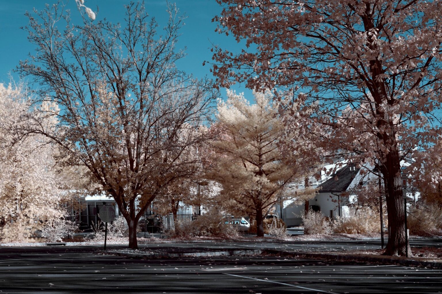 Sony infrared conversion