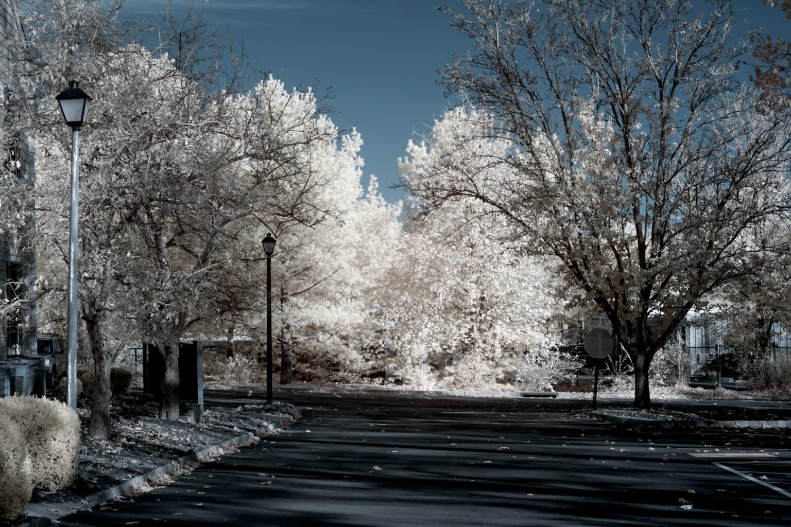 Sony infrared conversion