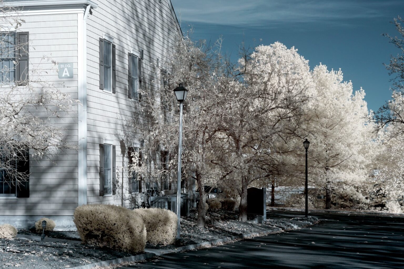 Sony infrared conversion
