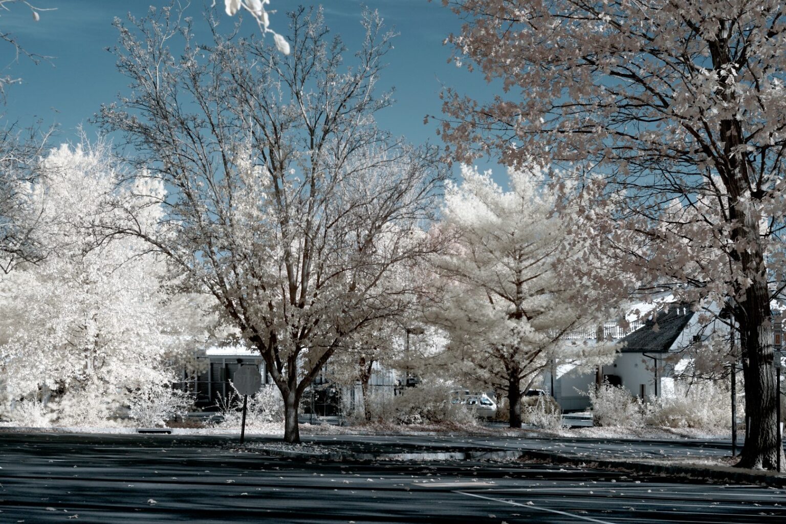 Sony infrared conversion