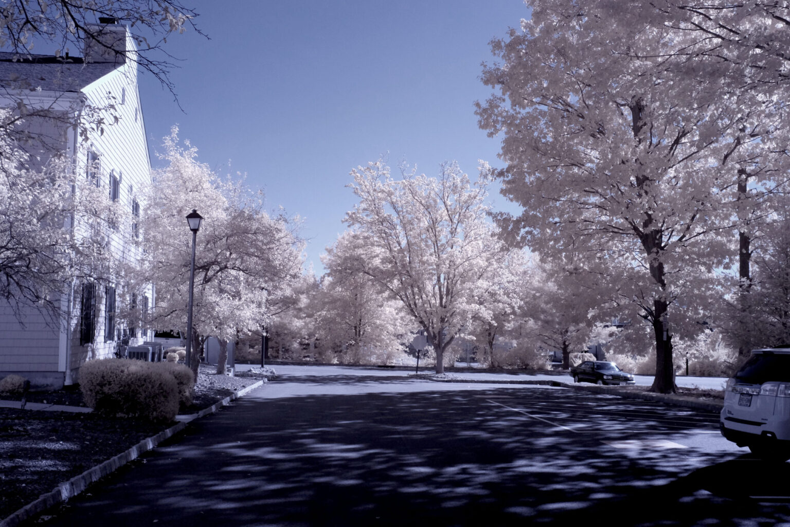 Fujifilm infrared conversion