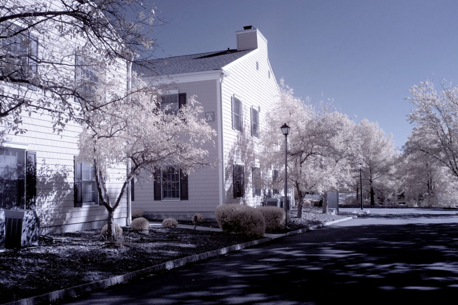 Fujifilm infrared conversion
