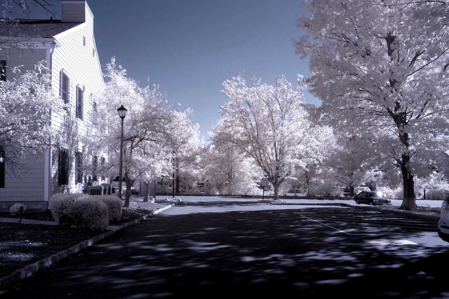 Fujifilm infrared conversion