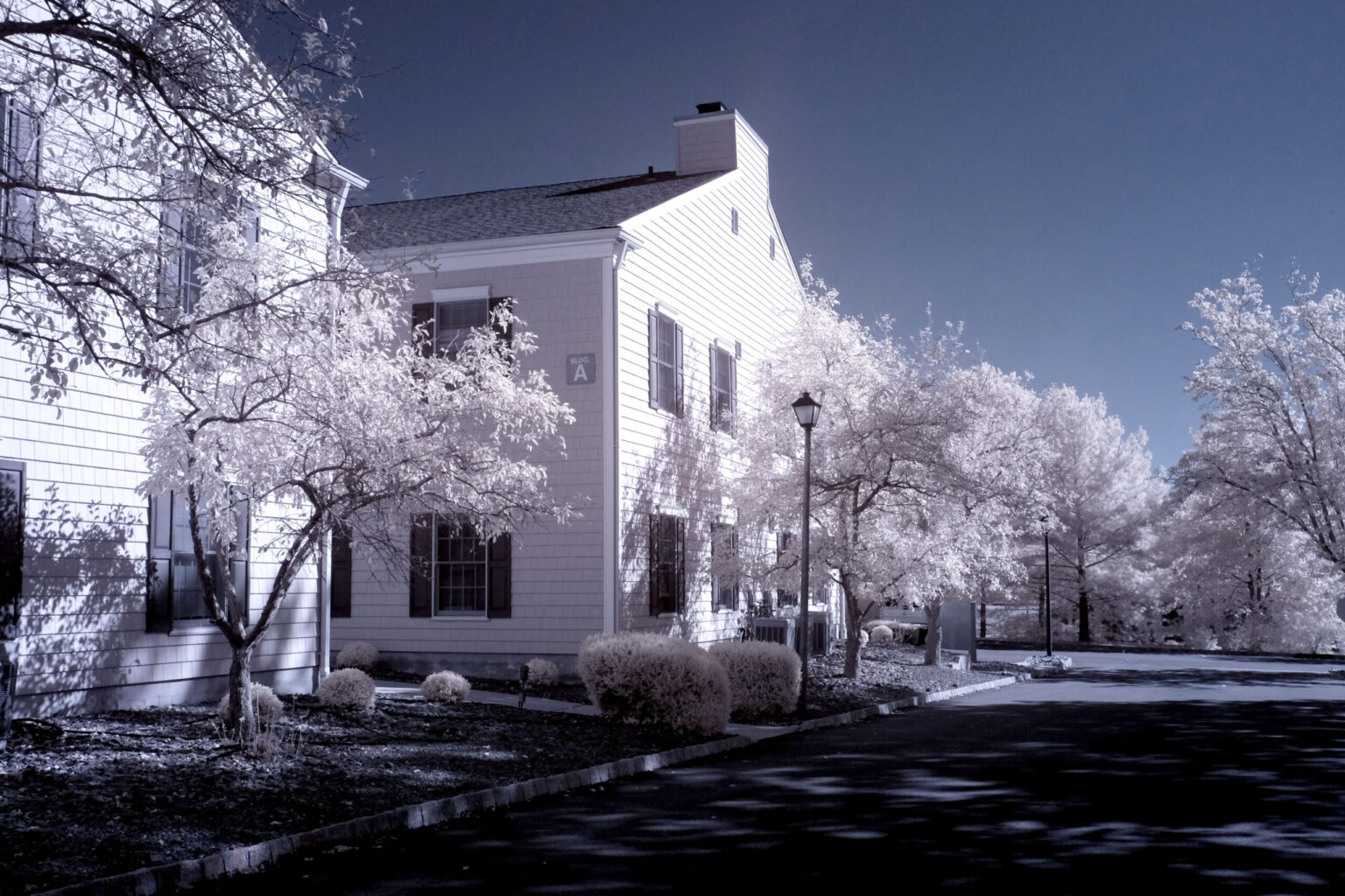 Fujifilm infrared conversion