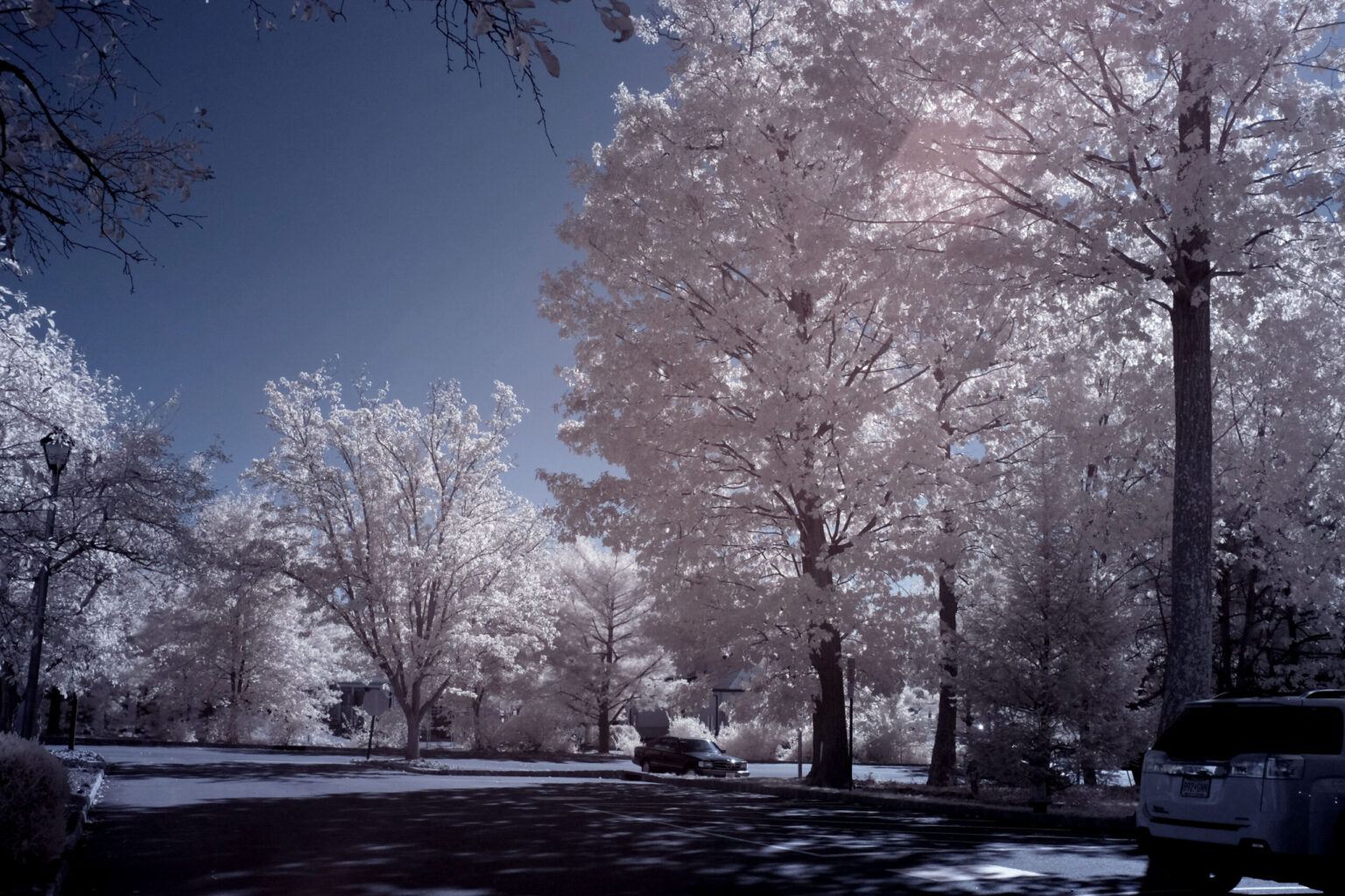 Fujifilm infrared conversion