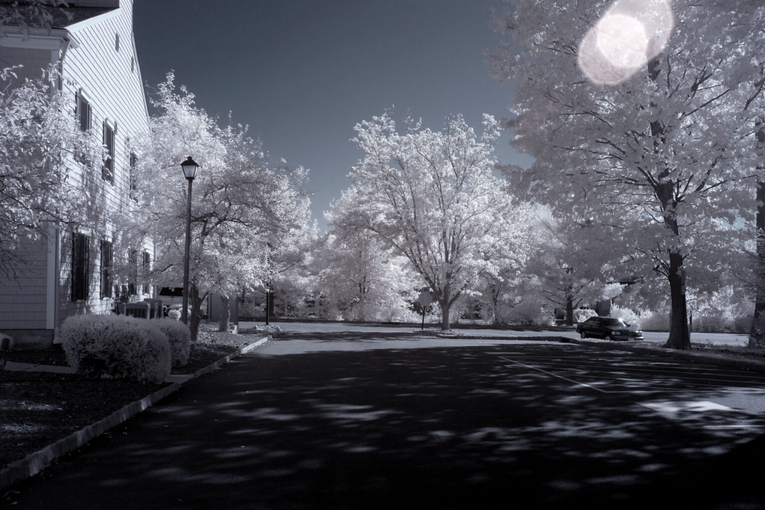 Fujifilm infrared conversion