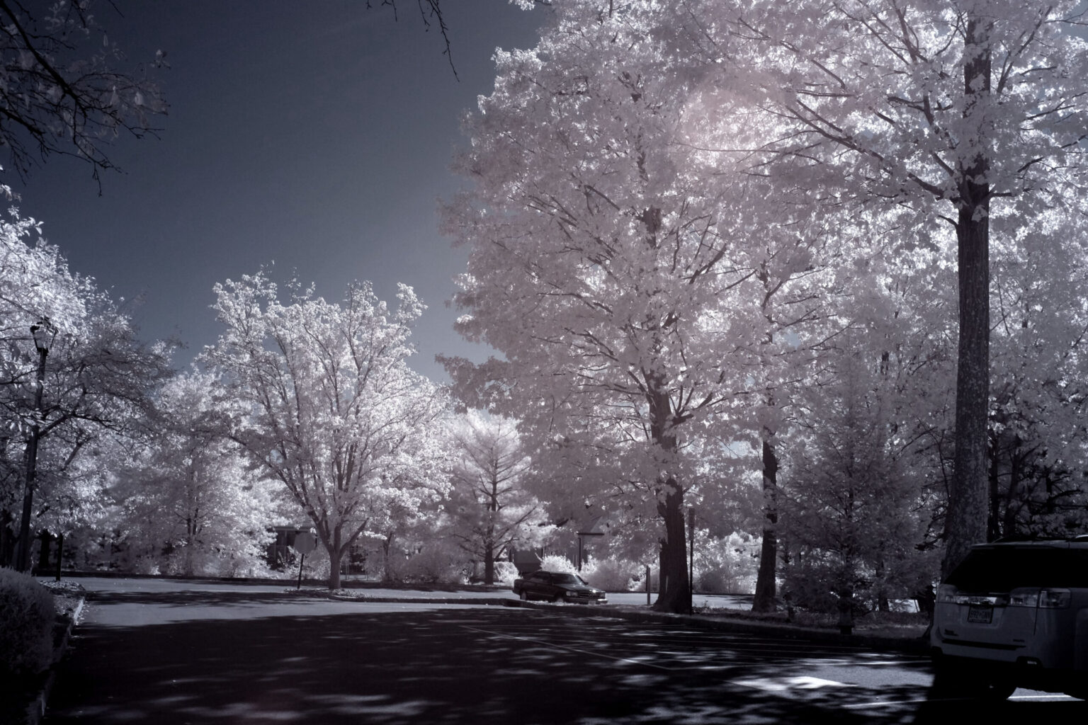 Fujifilm infrared conversion