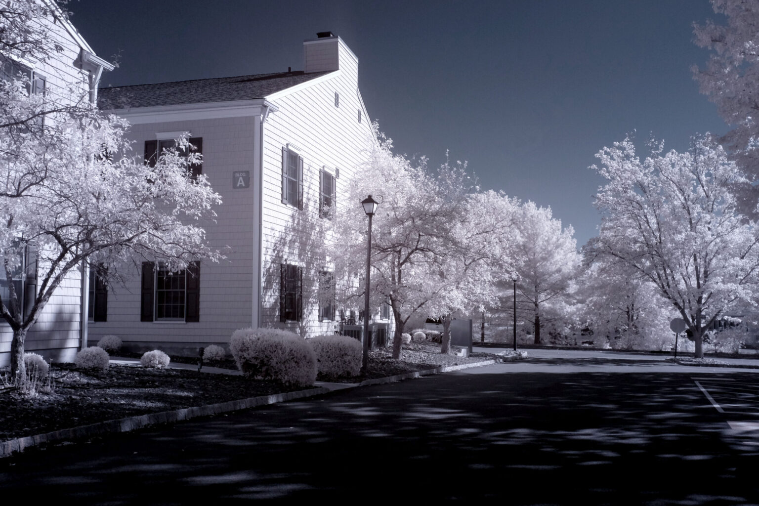 Fujifilm infrared conversion
