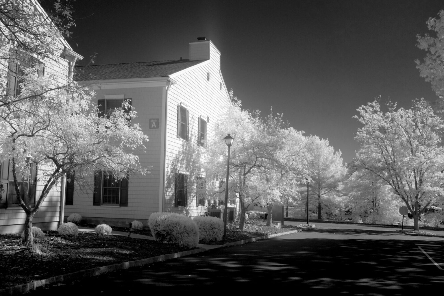 Fujifilm infrared conversion