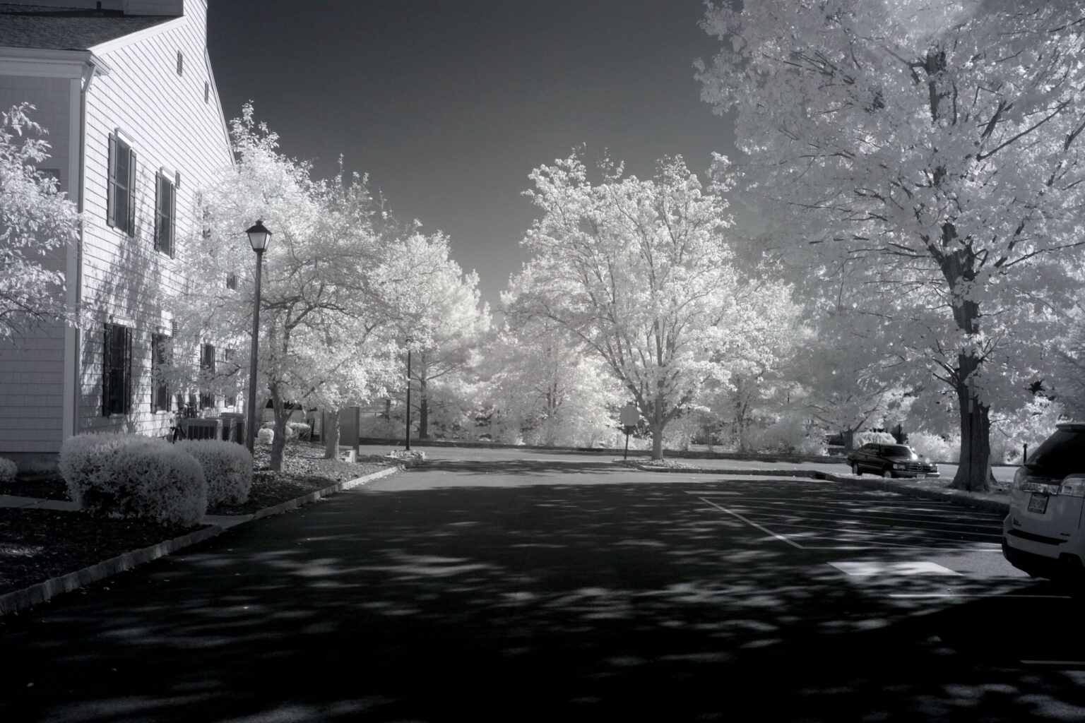 Fujifilm infrared conversion