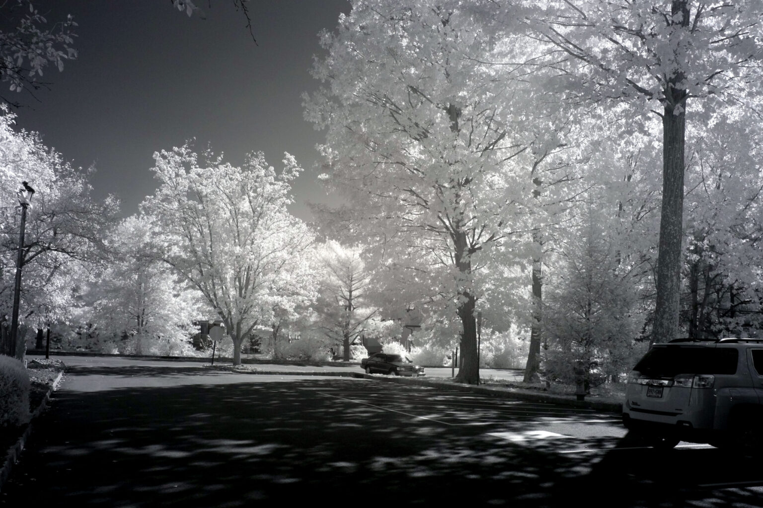Fujifilm infrared conversion