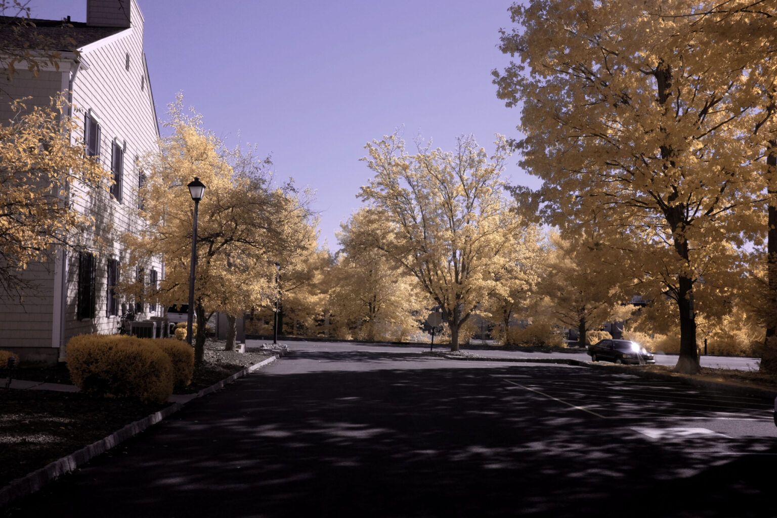 Fujifilm infrared conversion
