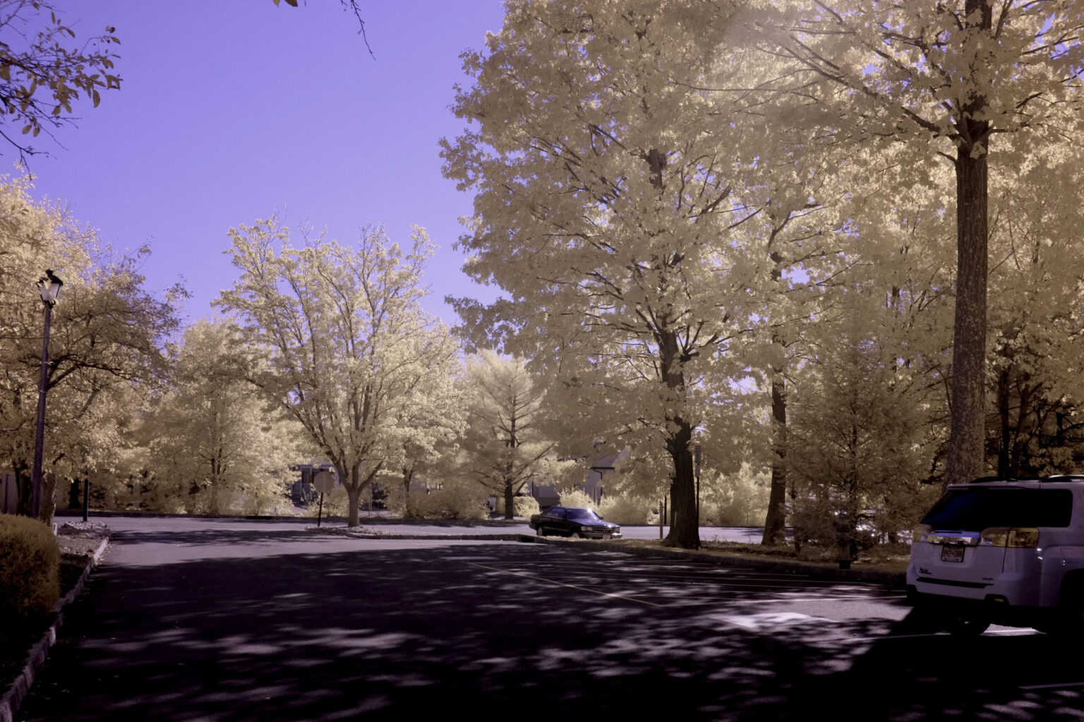 Fujifilm infrared conversion